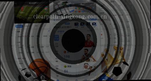 华为Mate60直屏旗舰